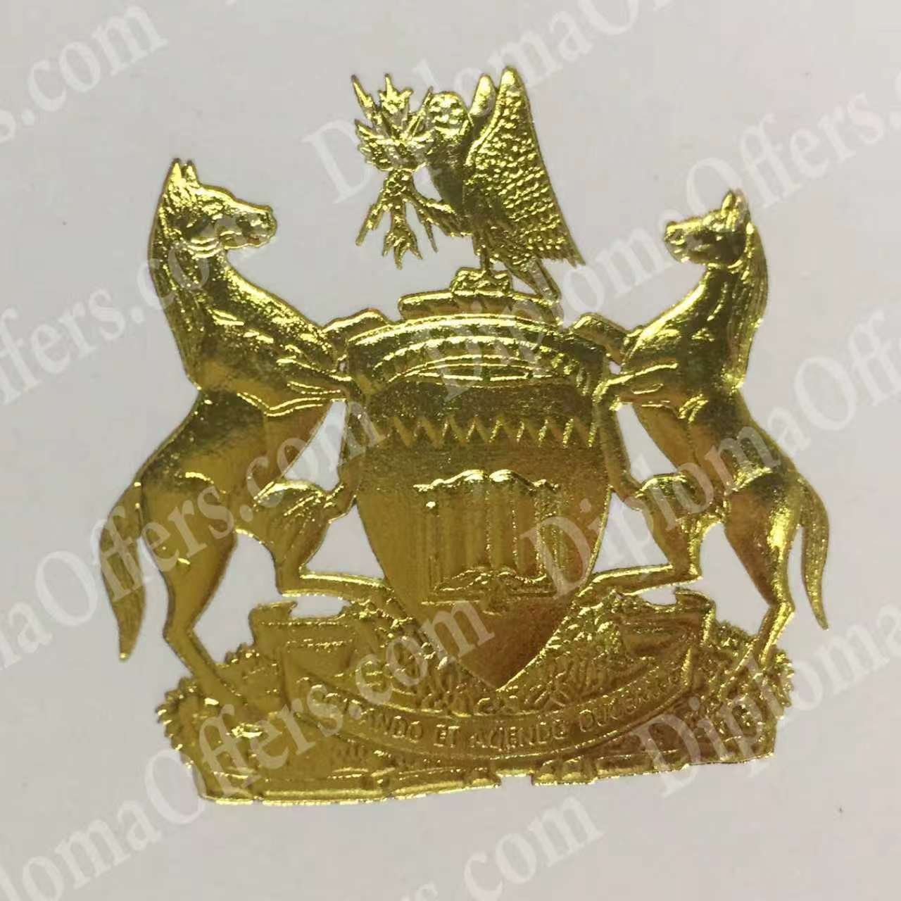 Gold seal option