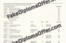 Purchase Murdoch university fake transcript and diploma online