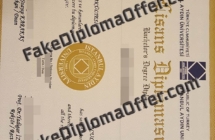 How to Purchase a Fake İstanbul Aydın Üniversitesi Diploma?