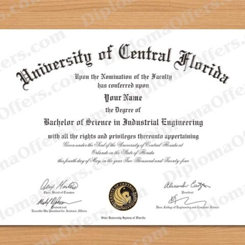 Bachelor's Degree Diploma