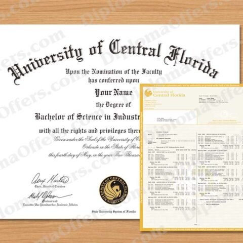 Bachelor's Degree Diploma & Transcript