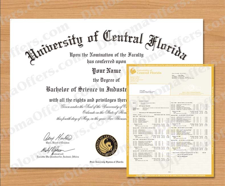 Bachelor's Degree Diploma & Transcript