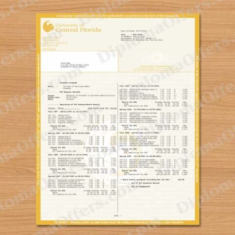 Bachelor's Degree Transcript