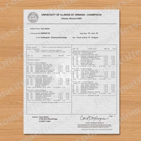 PhD Degree Transcript