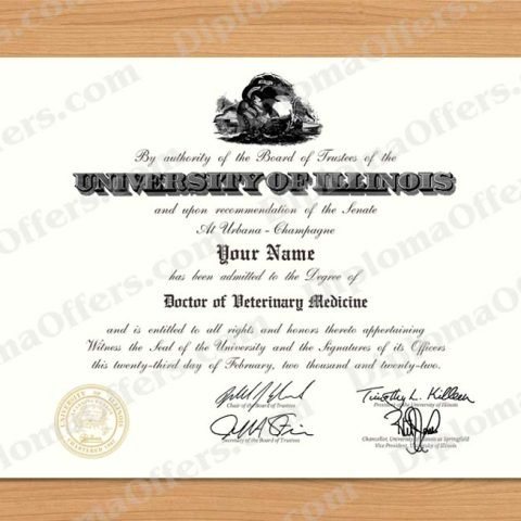 PhD Degree Diploma