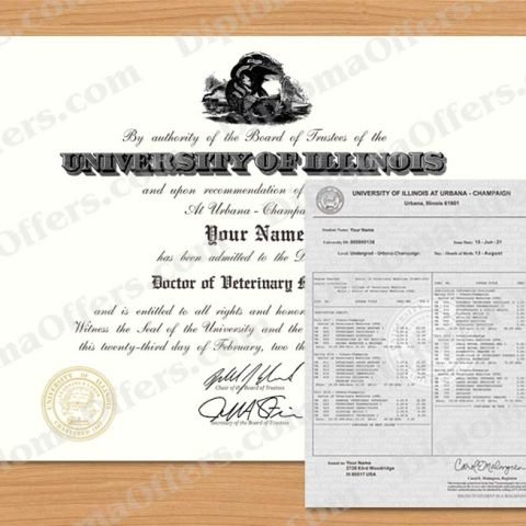 PhD Degree Diploma & Transcript