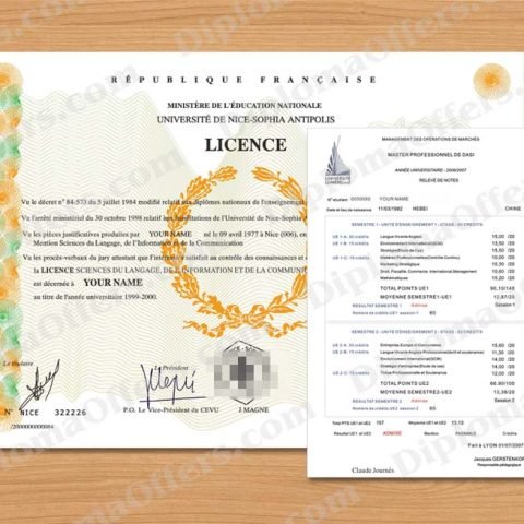 Europe College/University Diploma with Transcript