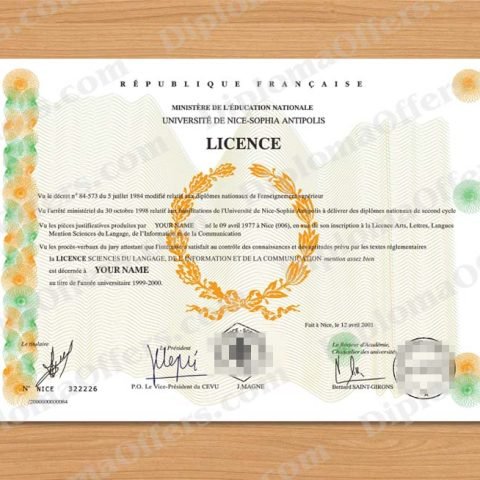 Europe College/University Diploma