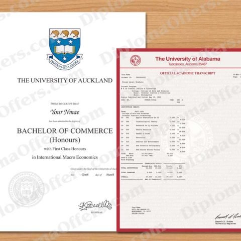 New Zealand College/University Diploma with Transcript