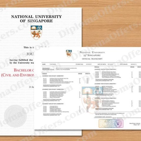 Singapore College/University Diploma with Transcript