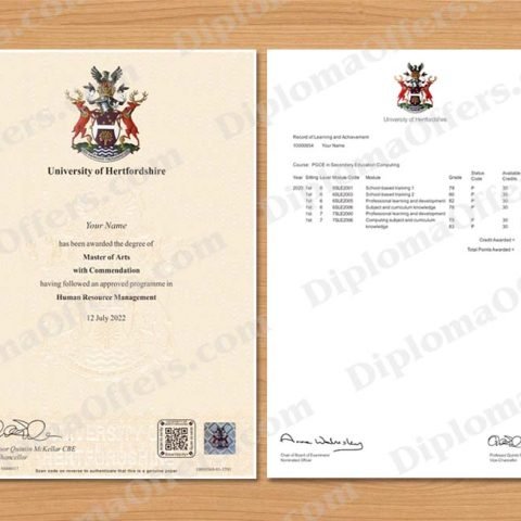 UK College/University Diploma with Transcript