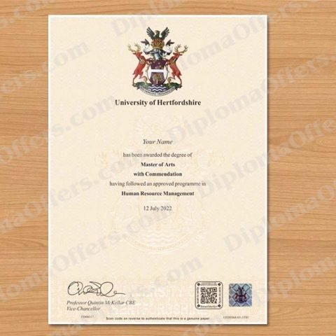 UK College/University Diploma
